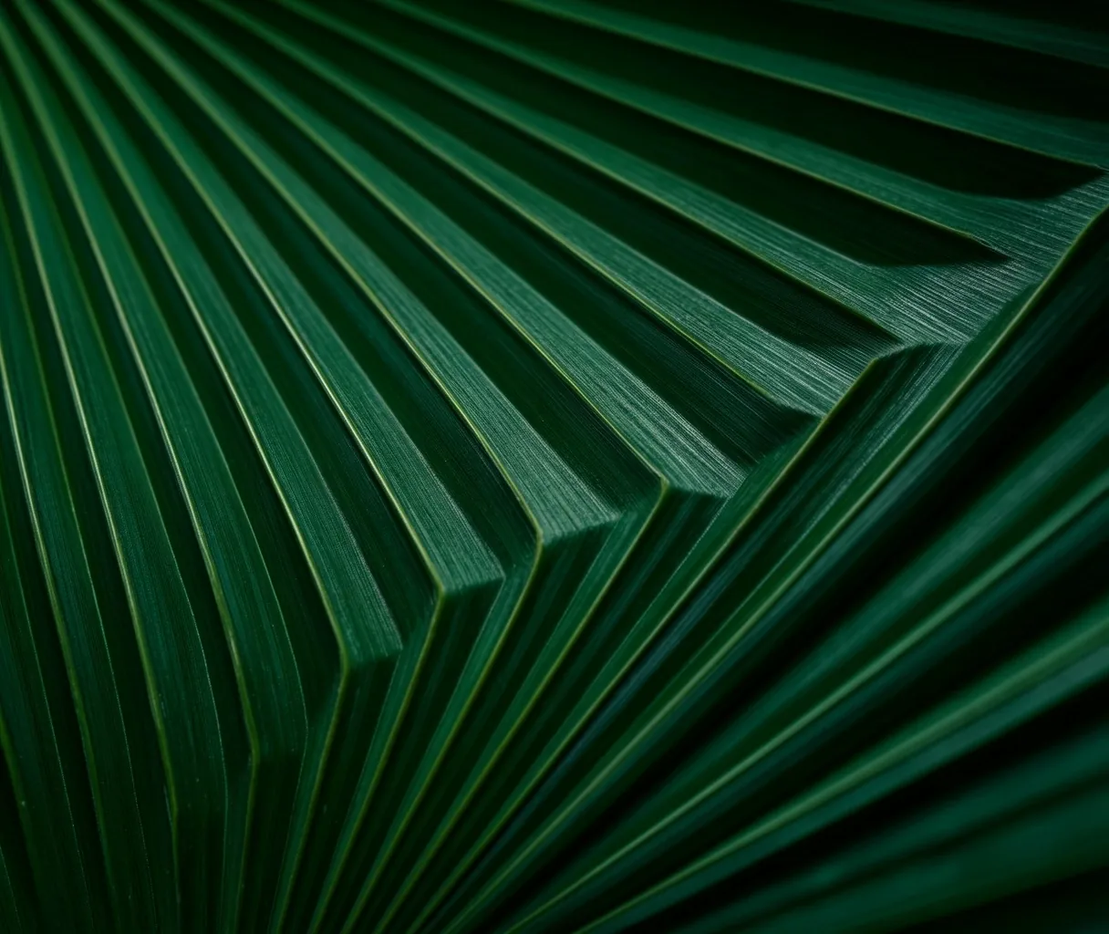 Botanical structural detail